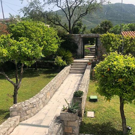 Charming Apartment For 3 Pax In Cavtat Εξωτερικό φωτογραφία