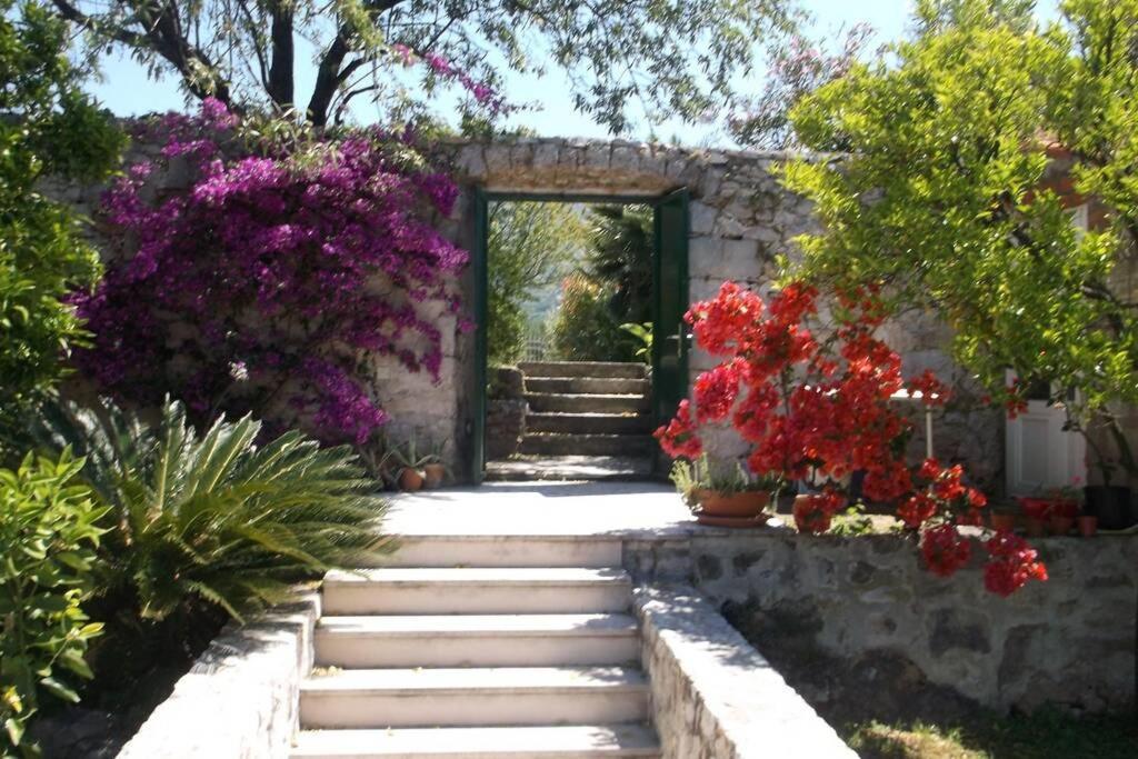 Charming Apartment For 3 Pax In Cavtat Εξωτερικό φωτογραφία