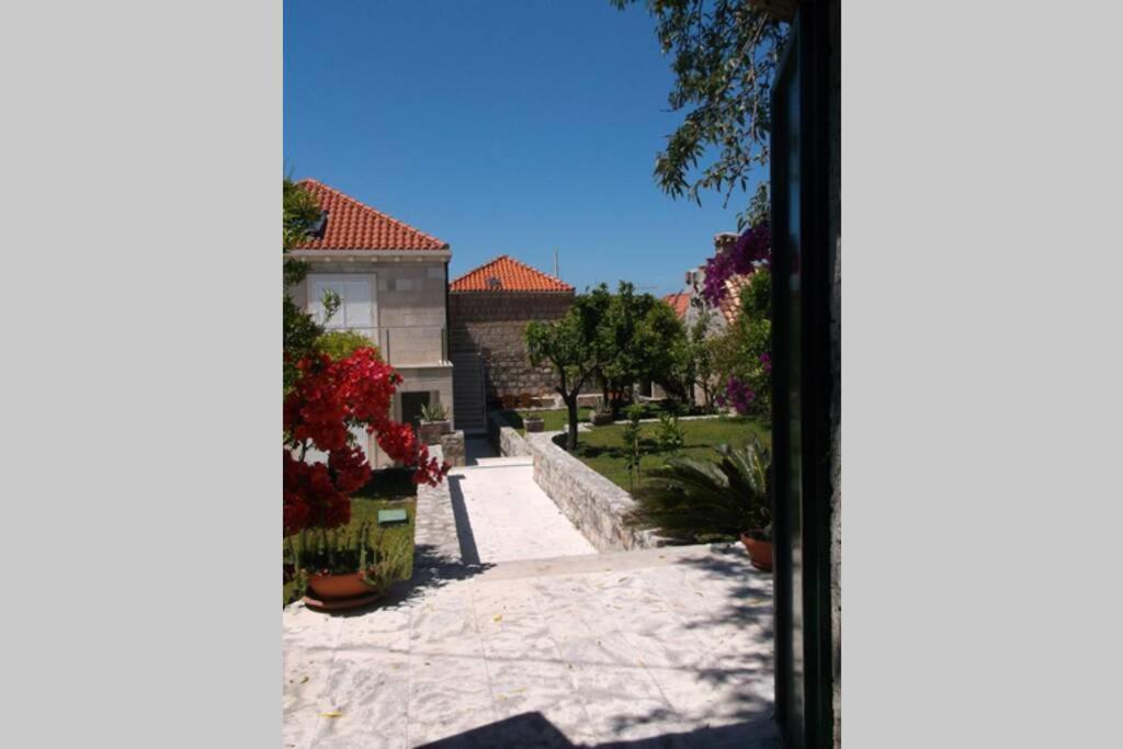 Charming Apartment For 3 Pax In Cavtat Εξωτερικό φωτογραφία