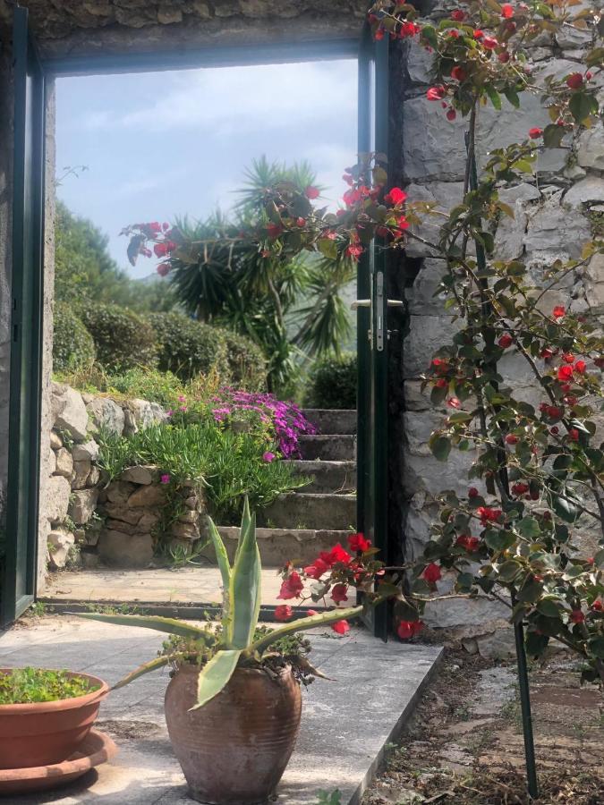 Charming Apartment For 3 Pax In Cavtat Εξωτερικό φωτογραφία