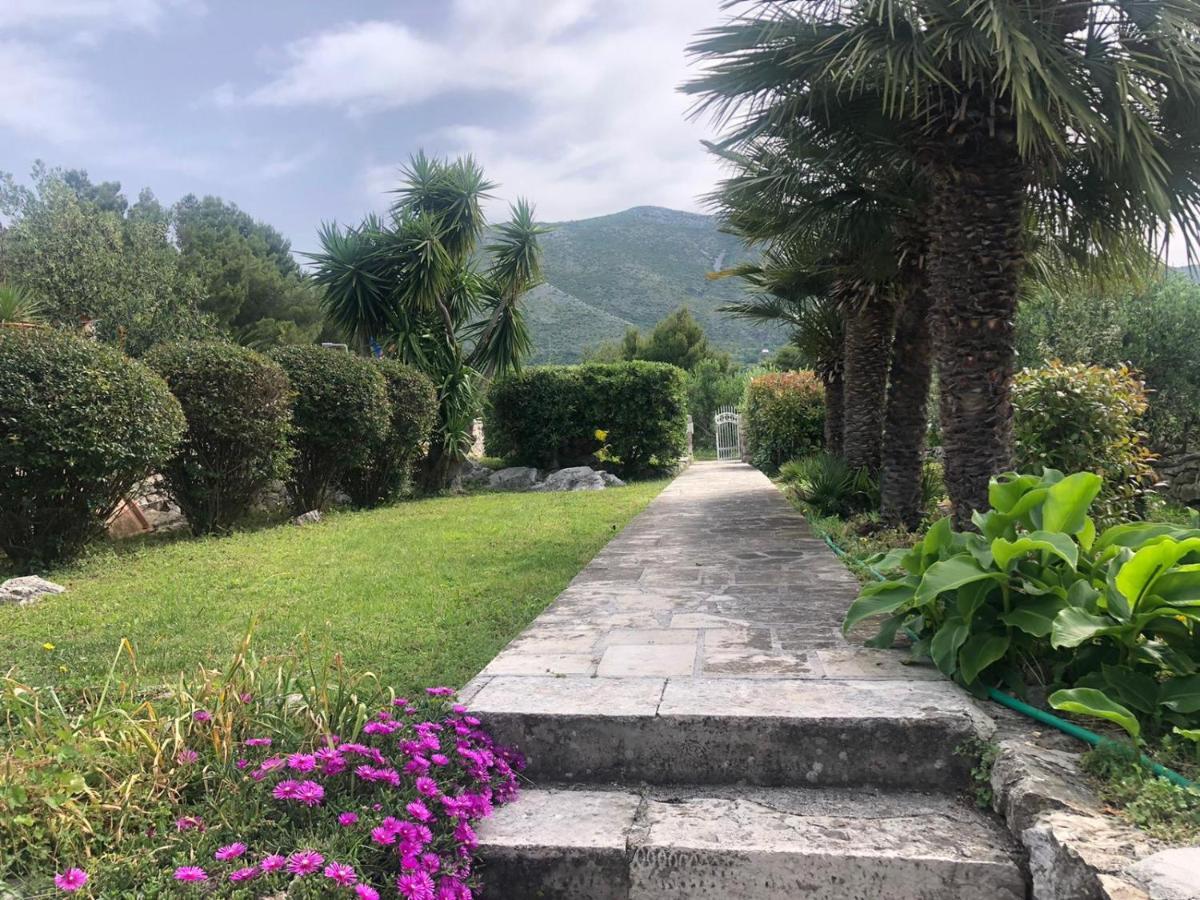 Charming Apartment For 3 Pax In Cavtat Εξωτερικό φωτογραφία